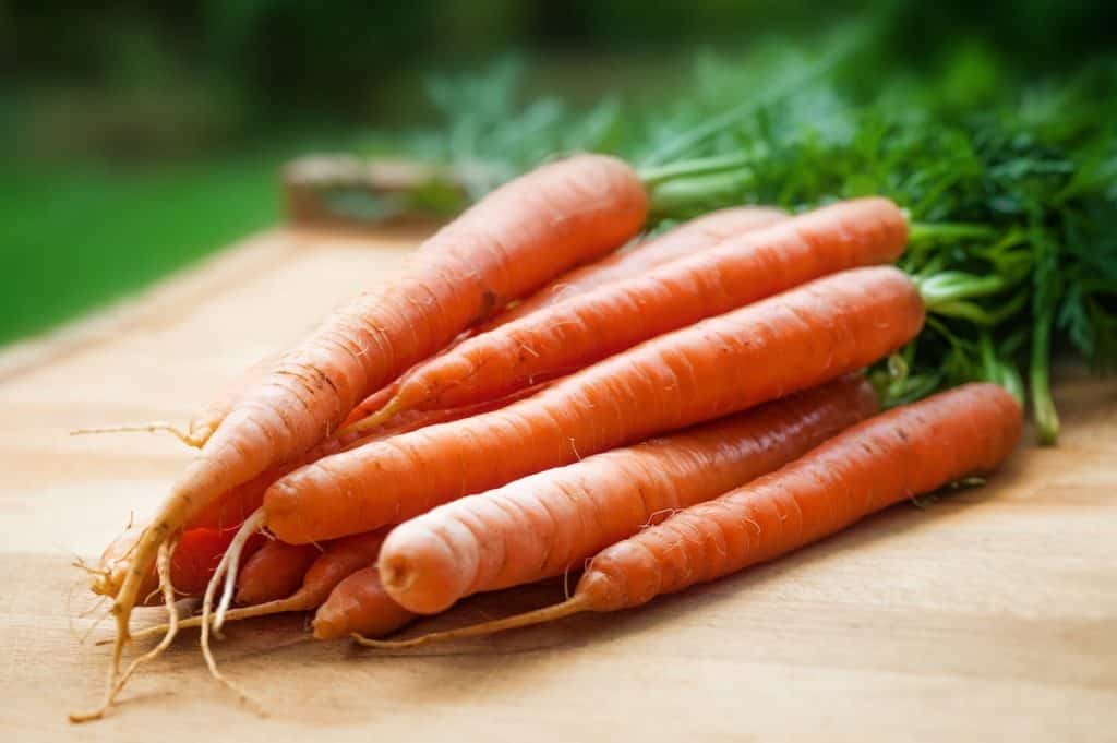 Picture of carrots for a blog post about Arby's "Megetables."